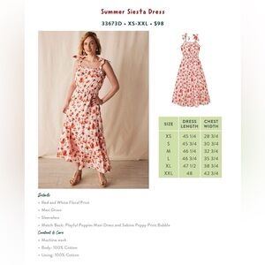 Summer Siesta Dress size XS EUC